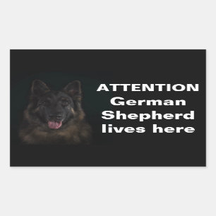Sticker Rectangulaire Attention berger allemand vit ici