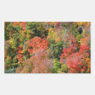 Sticker Rectangulaire Automne Hillside Colorful Automne Nature Photograp