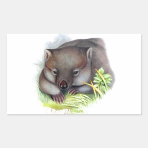 Sticker Rectangulaire Awesomome mignon animal australien wombat vintage