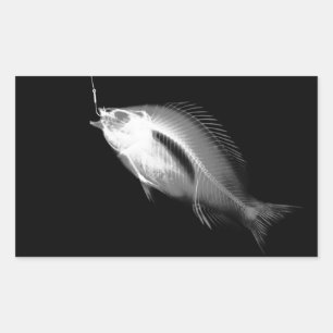 Sticker Rectangulaire B&W X-Ray Fish Bones