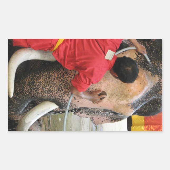 Sticker Rectangulaire Bain Eléphant ... Ayutthaya, Thaïlande (Devant)