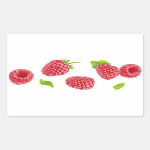 Sticker Rectangulaire Baisse des framboises