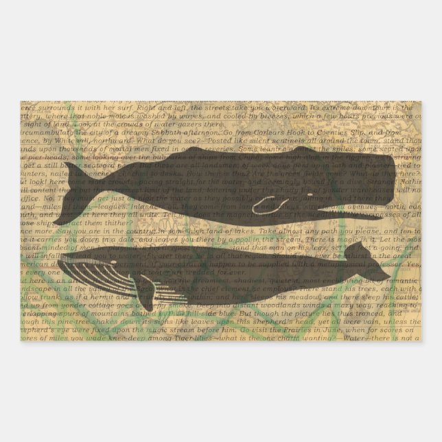 Sticker Rectangulaire Baleine antique Vie marine (Devant)