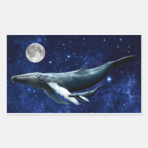 Sticker Rectangulaire Baleine de l'espace