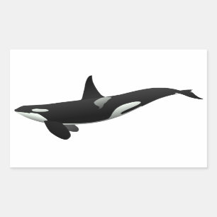 Sticker Rectangulaire Baleine noire et blanche tueuse à Orca