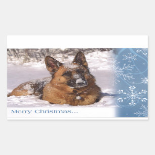 Sticker Rectangulaire Beau berger allemand chien dans la neige