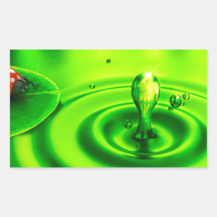 Sticker Rectangulaire Beau papier peint-nature-hd-1920-x-1080-free-dow