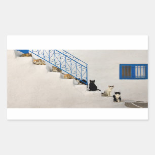 Sticker Rectangulaire Beaucoup de chats sur un escalier blanc dans un vi