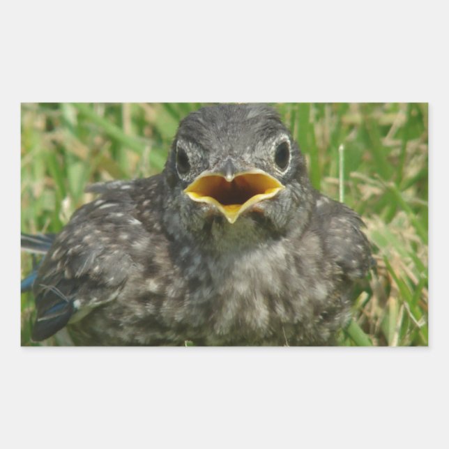Sticker Rectangulaire Bébé bleu (Devant)