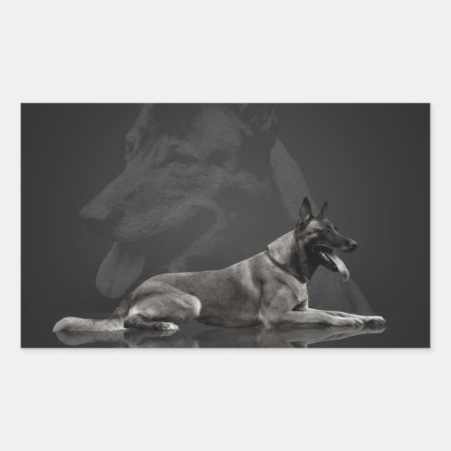 Sticker Rectangulaire Belgian shepherd (Devant)