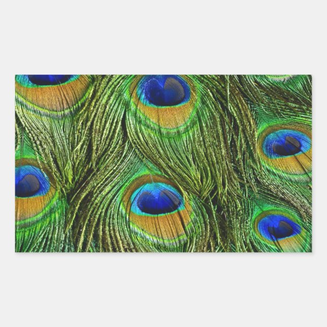 Sticker Rectangulaire Belles plumes de paon (Devant)