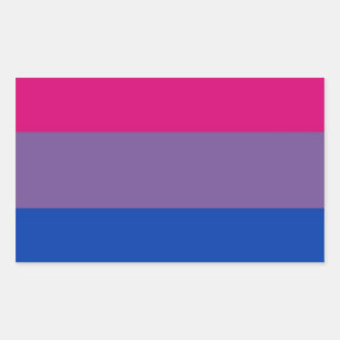 Sticker Rectangulaire Bi Flag Flies