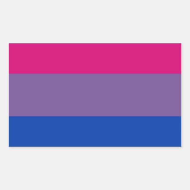 Sticker Rectangulaire Bi Flag Flies (Devant)
