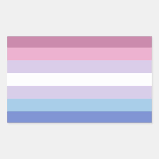 Sticker Rectangulaire Bigender Pride (Devant)