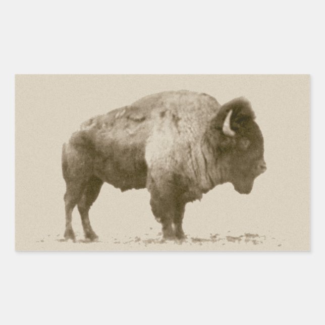 Sticker Rectangulaire Bison des plaines (Devant)