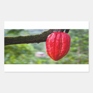 Sticker Rectangulaire boîte de cacao rouge