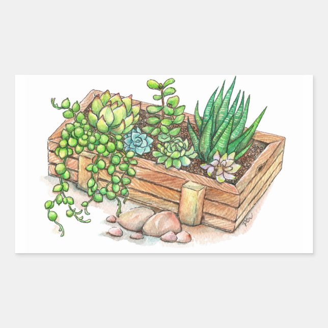 Sticker Rectangulaire Boite programmée succulent (Devant)