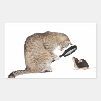 Sticker Rectangulaire Bonjour ! !