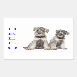 Sticker Rectangulaire Bonjour Miniature Schnauzer Chien Chien Chien Étiq