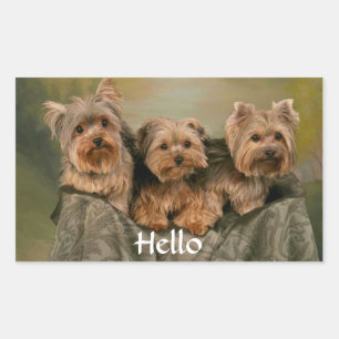 Sticker Rectangulaire Bonjour Yorkshire Terrier Chien Chien Chien de Gre