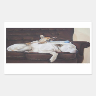 Sticker Rectangulaire brun chiot blanc américain taureau réaliste art
