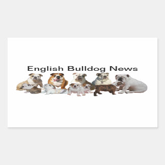 Sticker Rectangulaire Bulldog News anglais