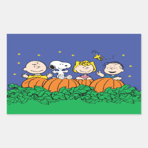 Sticker Rectangulaire cacahuètes C'est le grand Citrouille Charlie Bro