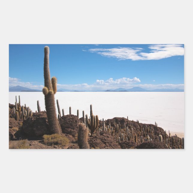 Sticker Rectangulaire Cactus à l'autocollant rectangulaire Salar de Uyun (Devant)