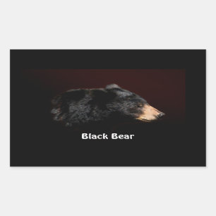 Sticker Rectangulaire Cadeaux de l'Autocollant de la faune de l'ours noi