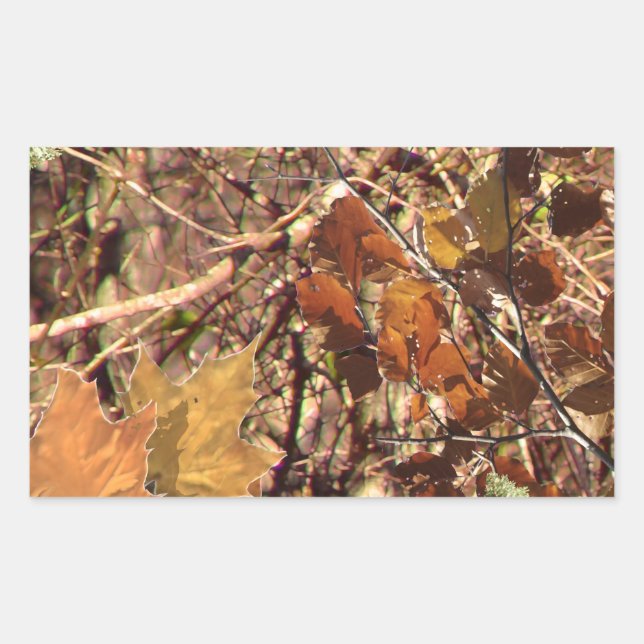 Sticker Rectangulaire Camouflage de Fall Forest Bush (Devant)