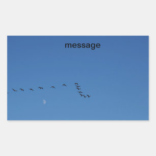 Sticker Rectangulaire Canadian geese