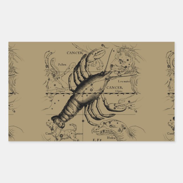 Sticker Rectangulaire Cancer constellation Hevelius 1690 Engaving (Devant)