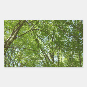 Sticker Rectangulaire Canopée du printemps Feuille Green Nature Scene