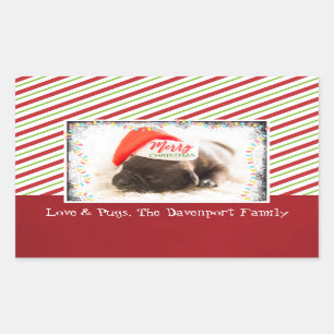 Sticker Rectangulaire Carlin de Noël à Santa Hat avec lumières de Noël
