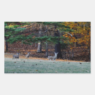 Sticker Rectangulaire Cerf d'automne au loin