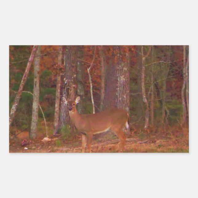 Sticker Rectangulaire Cerf, Grass vert rouge et feuilles d'or (Devant)