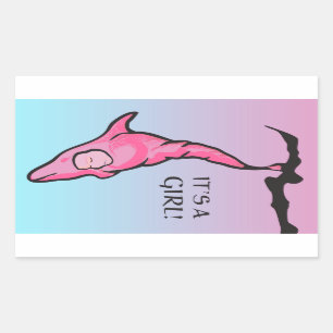 Sticker Rectangulaire c'est une fille ! (cocon dauphin)