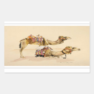 Sticker Rectangulaire Chameaux de PETRA 2007