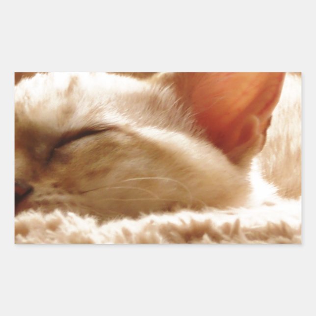 Sticker Rectangulaire Chat couché (Devant)