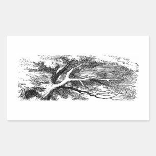 Sticker Rectangulaire Chat de Cheshire caché dans un arbre