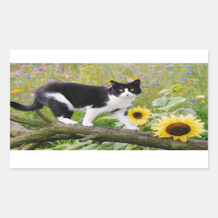 Sticker Rectangulaire Chat tuxedo mignon sur une branche d'arbre avec de