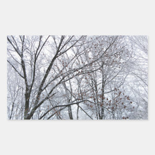 Sticker Rectangulaire Chêne couvert de neige