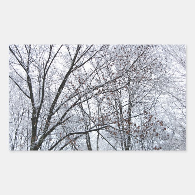 Sticker Rectangulaire Chêne couvert de neige (Devant)