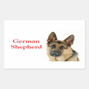 Sticker Rectangulaire Chepherd allemand Chignon coquelicot chevaliers / 