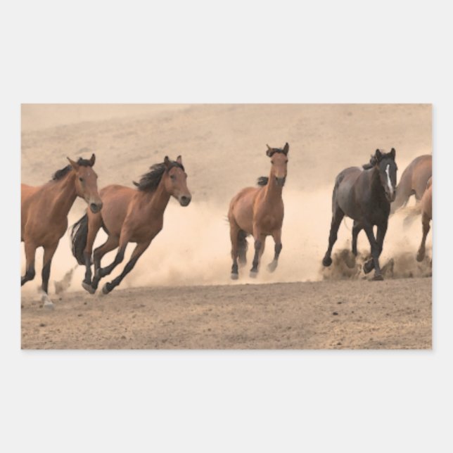 Sticker Rectangulaire Cheval À L'Automne II (Devant)