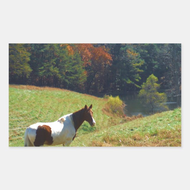 Sticker Rectangulaire Cheval blanc et Brown, étang d'automne (Devant)