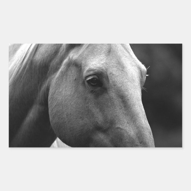 Sticker Rectangulaire Cheval blanc noir (Devant)