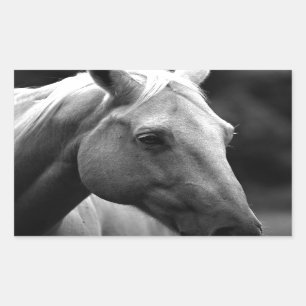 Sticker Rectangulaire Cheval blanc noir