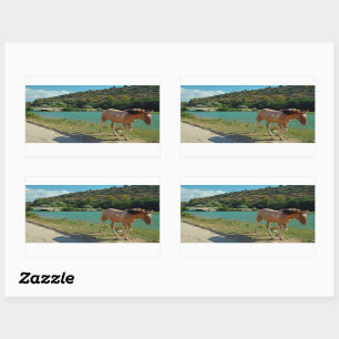 Sticker Rectangulaire Cheval de Sicile
