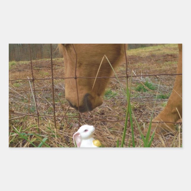 Sticker Rectangulaire cheval et fleur de printemps Bunny (Devant)